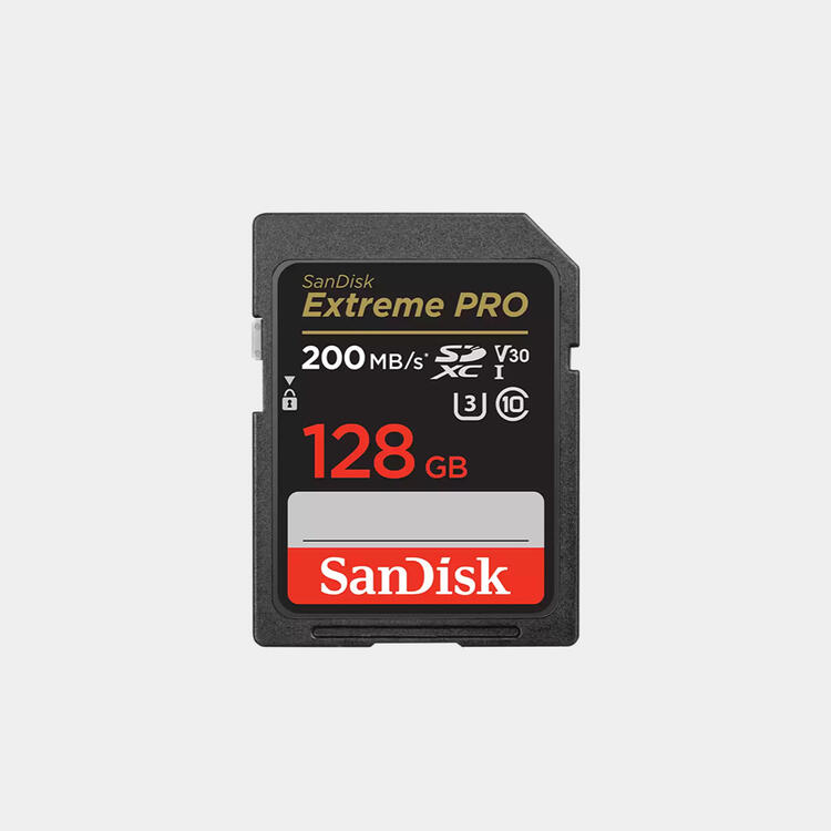 Sandisk 128 GB SD Card